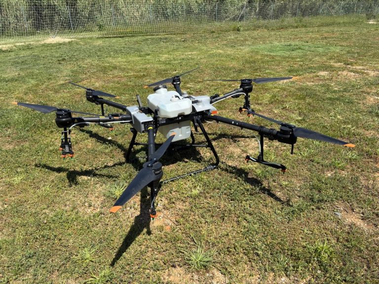 Conference Committee 5 Imagen3