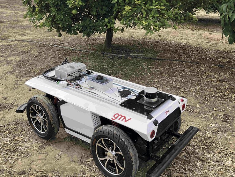 Information Demo Day 7 Greenboot