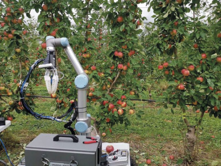 Information Demo Day 8 Inhort