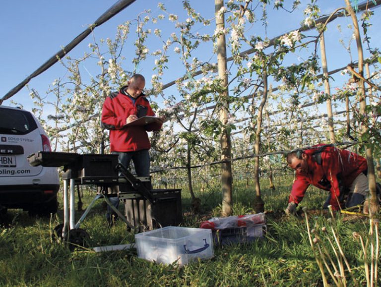 Information Demo Day 12 Safsampling