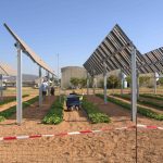 ECPA 2025 BARCELONA 254