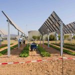 ECPA2025 Congress 18