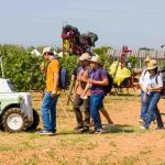 ECPA2025 Congress 31