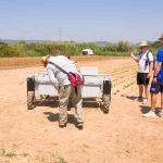 ECPA2025 Congress 40